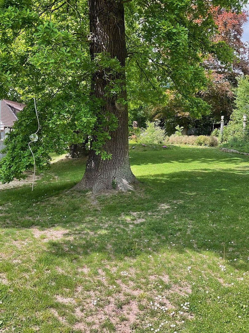 house for sale, 800 m², Bad Karlshafen, Hesse house for sale, 800 m², Bad Karlshafen, Hesse