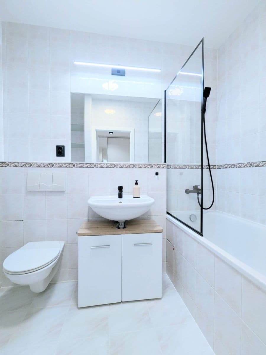 1 bedroom with open-plan kitchen flat to rent, 58 m², Pod Havránkou, Prague, Prague 1 bedroom with open-plan kitchen flat to rent, 58 m², Pod Havránkou, Prague, Prague