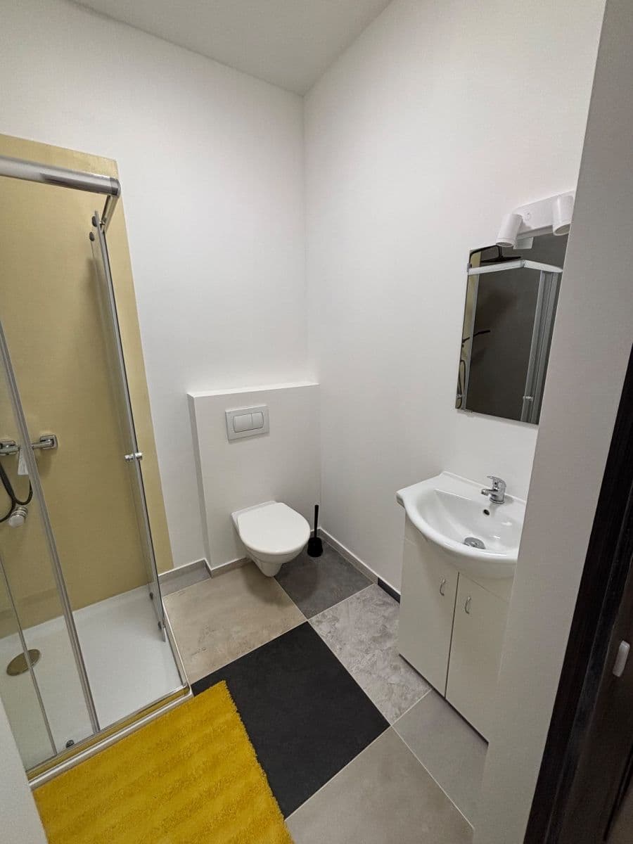 1 bedroom with open-plan kitchen flat to rent, 52 m², Čejkova, Brno, Jihomoravský Region 1 bedroom with open-plan kitchen flat to rent, 52 m², Čejkova, Brno, Jihomoravský Region