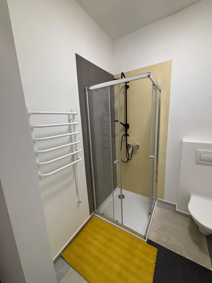 1 bedroom with open-plan kitchen flat to rent, 52 m², Čejkova, Brno, Jihomoravský Region 1 bedroom with open-plan kitchen flat to rent, 52 m², Čejkova, Brno, Jihomoravský Region