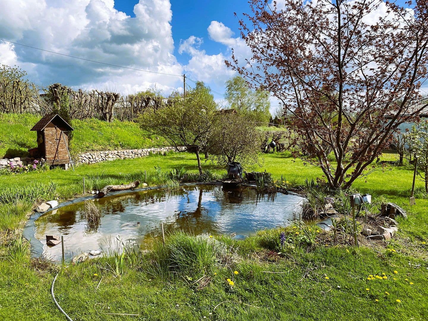 house for sale, 720 m², Dassow, Mecklenburg-Vorpommern house for sale, 720 m², Dassow, Mecklenburg-Vorpommern