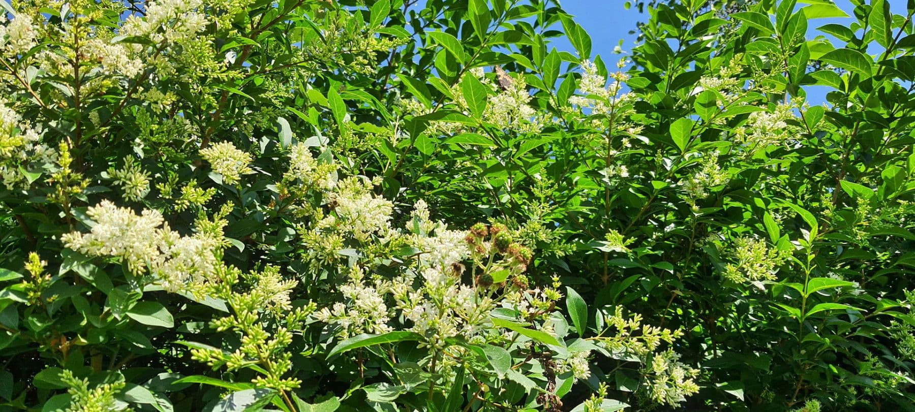 house for sale, 140 m², Wurster Nordseeküste, Lower Saxony house for sale, 140 m², Wurster Nordseeküste, Lower Saxony