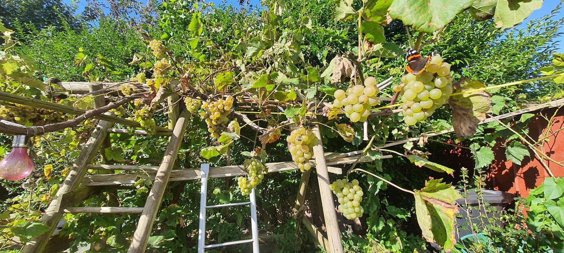 house for sale, 140 m², Wurster Nordseeküste, Lower Saxony house for sale, 140 m², Wurster Nordseeküste, Lower Saxony