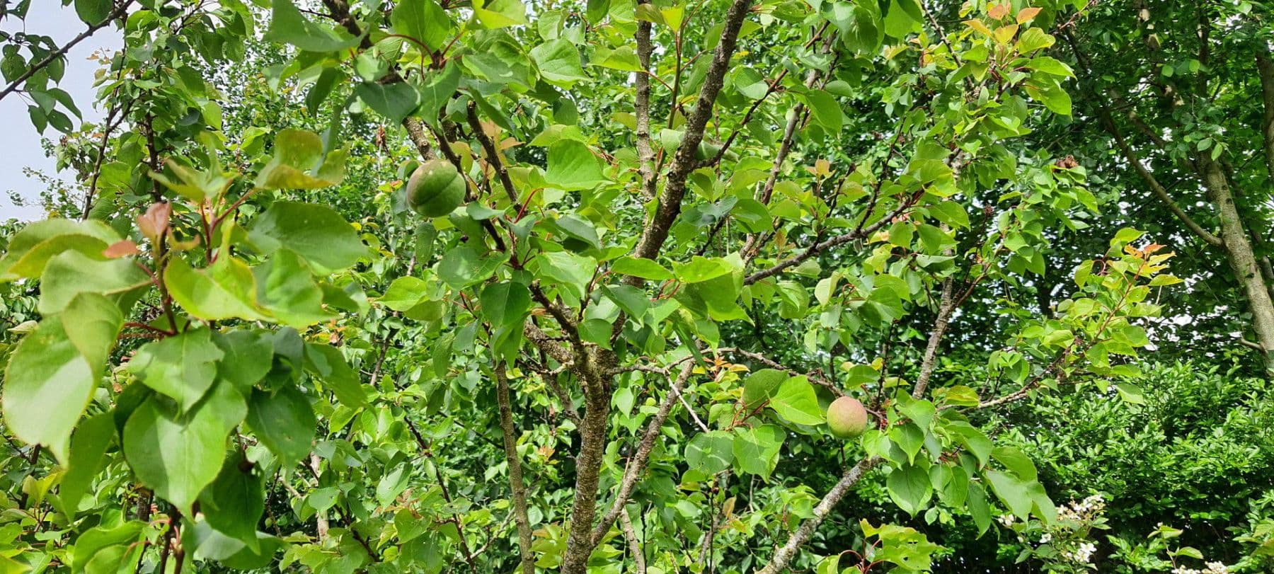 house for sale, 140 m², Wurster Nordseeküste, Lower Saxony house for sale, 140 m², Wurster Nordseeküste, Lower Saxony