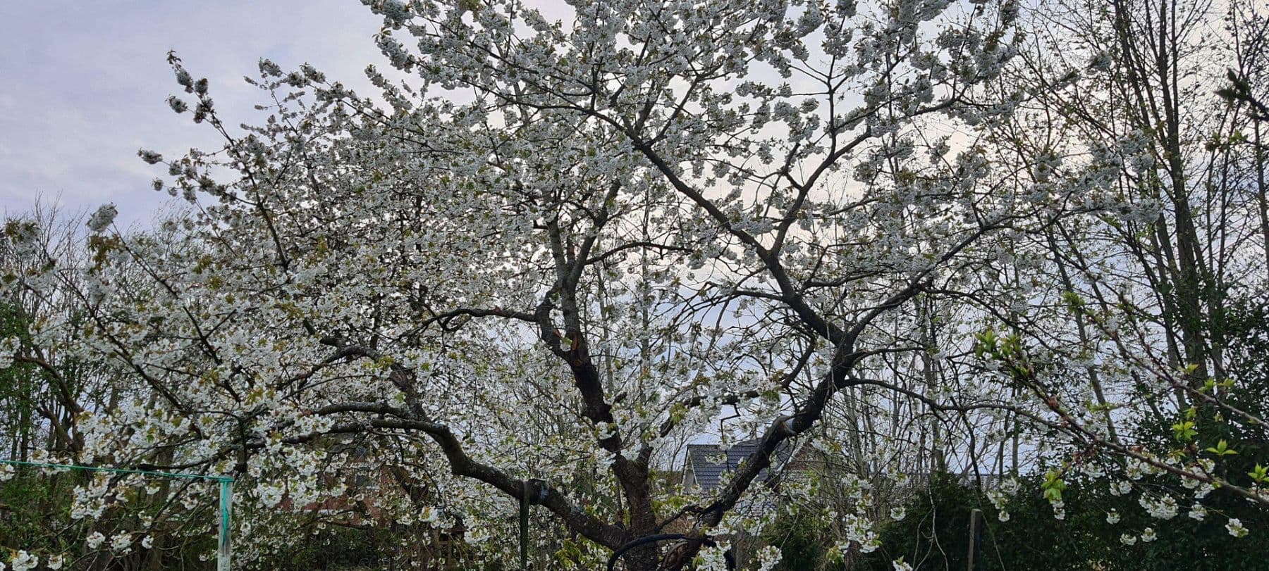 house for sale, 140 m², Wurster Nordseeküste, Lower Saxony house for sale, 140 m², Wurster Nordseeküste, Lower Saxony