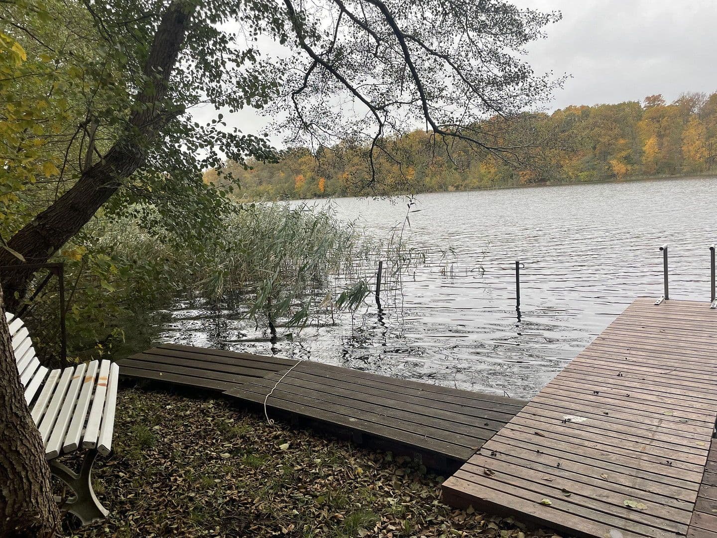 house for sale, 80 m², Tulpenweg 20, Strausberg, Brandenburg house for sale, 80 m², Tulpenweg 20, Strausberg, Brandenburg