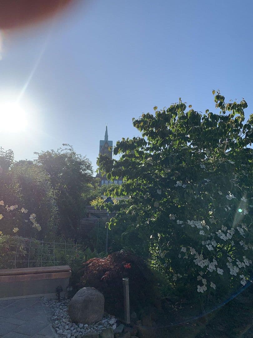 flat to rent, 22 m², Münster, North Rhine-Westphalia flat to rent, 22 m², Münster, North Rhine-Westphalia