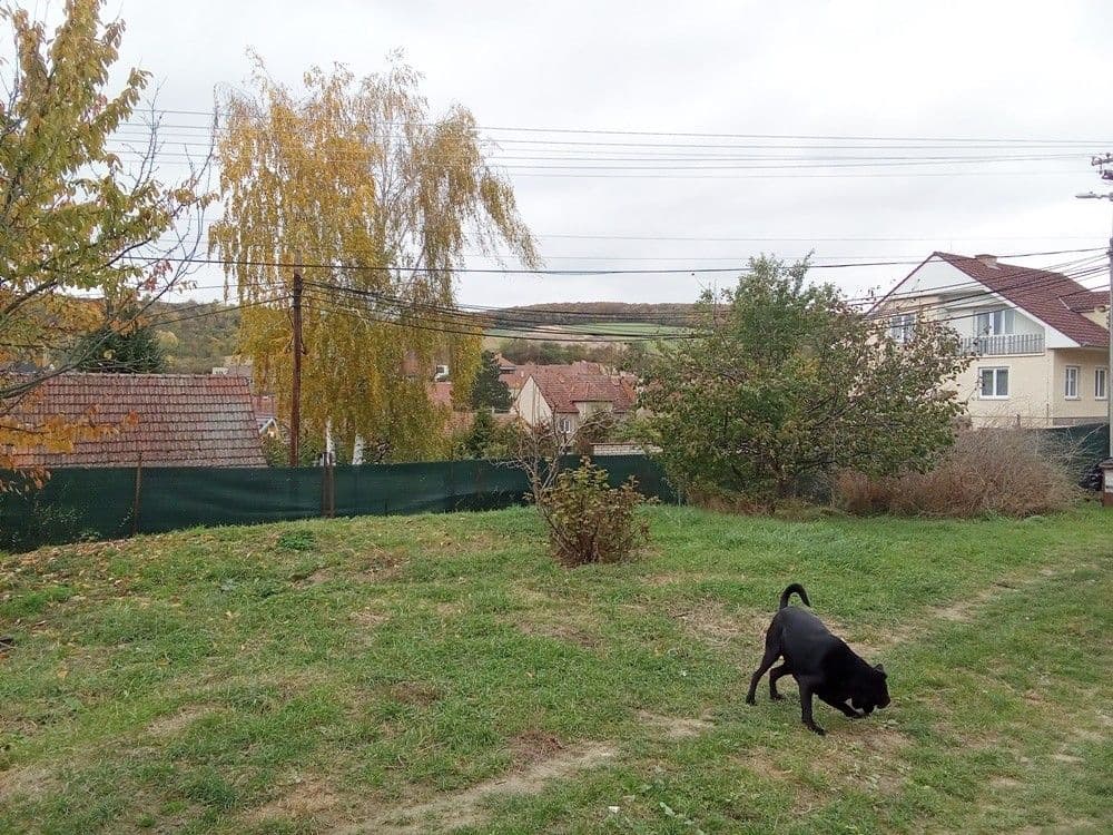 house for sale, 100 m², Dambořice, Jihomoravský Region house for sale, 100 m², Dambořice, Jihomoravský Region