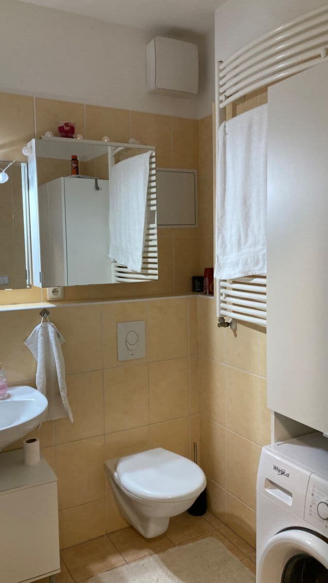 1 bedroom with open-plan kitchen flat to rent, 50 m², V Dolině, Prague, Prague 1 bedroom with open-plan kitchen flat to rent, 50 m², V Dolině, Prague, Prague