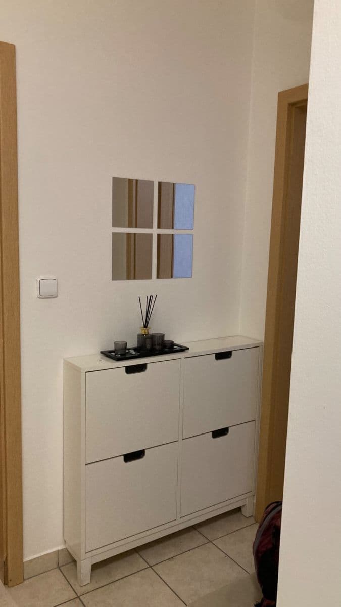 1 bedroom with open-plan kitchen flat to rent, 50 m², V Dolině, Prague, Prague 1 bedroom with open-plan kitchen flat to rent, 50 m², V Dolině, Prague, Prague