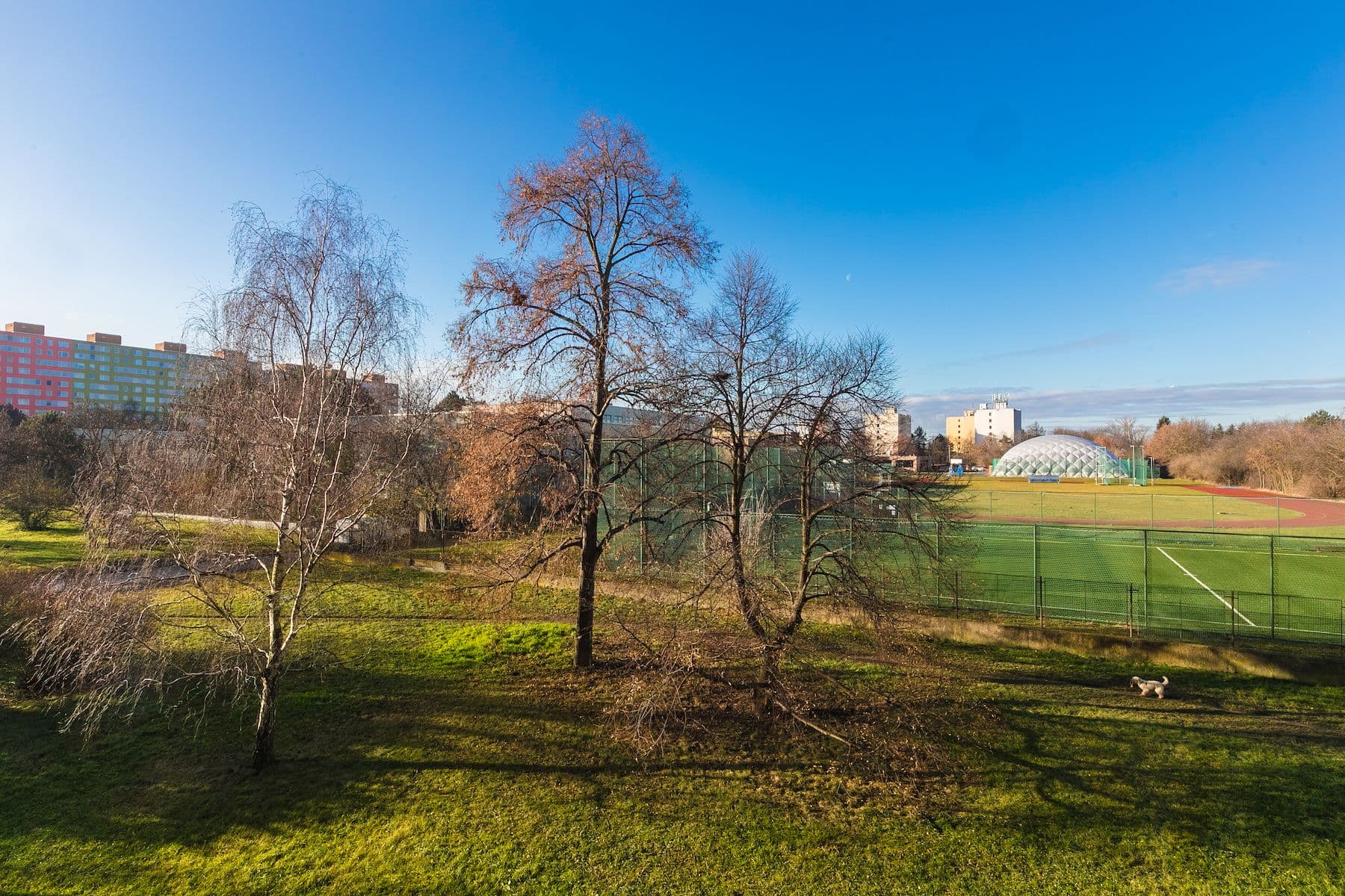 3 bedroom flat for sale, 64 m², Svídnická, Prague, Prague 3 bedroom flat for sale, 64 m², Svídnická, Prague, Prague