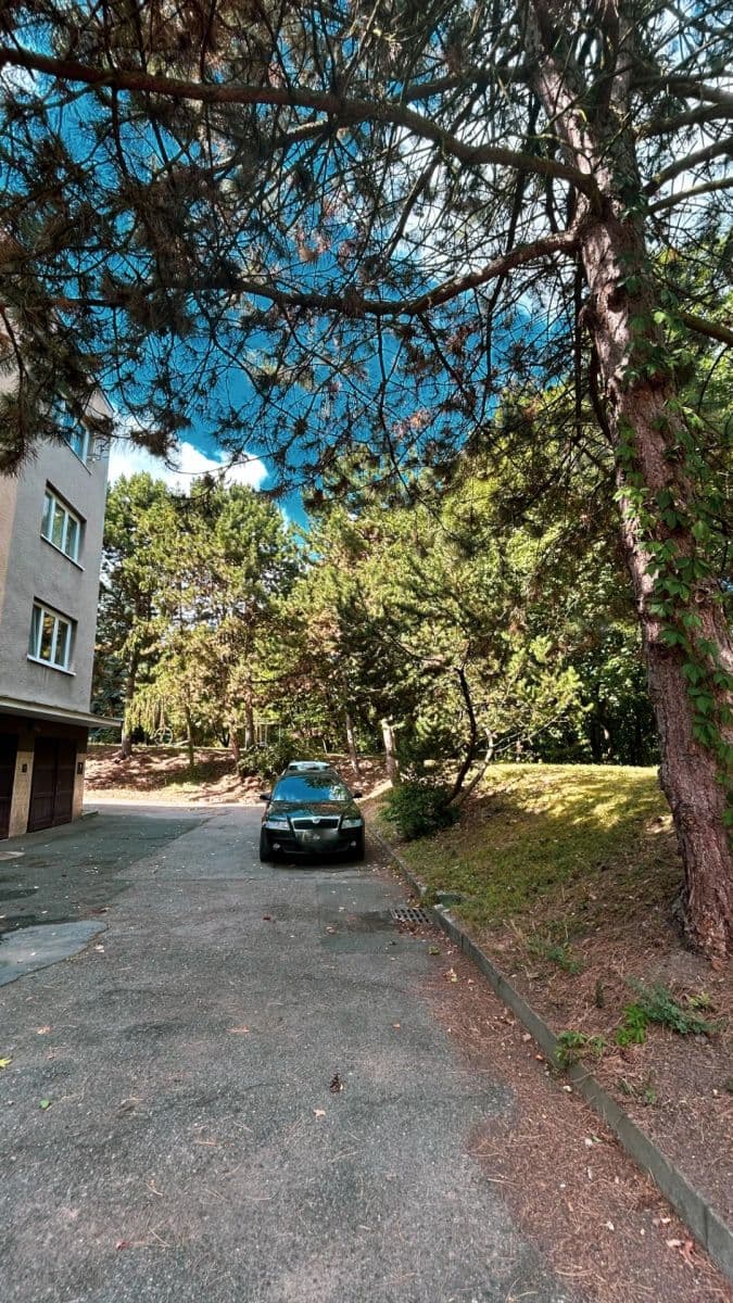 3 bedroom flat for sale, 75 m², Vejražkova, Prague, Prague 3 bedroom flat for sale, 75 m², Vejražkova, Prague, Prague