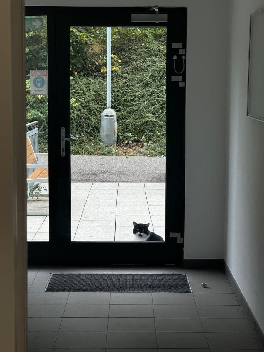 Studio flat to rent, 32 m², Rakovského, Prague, Prague Studio flat to rent, 32 m², Rakovského, Prague, Prague