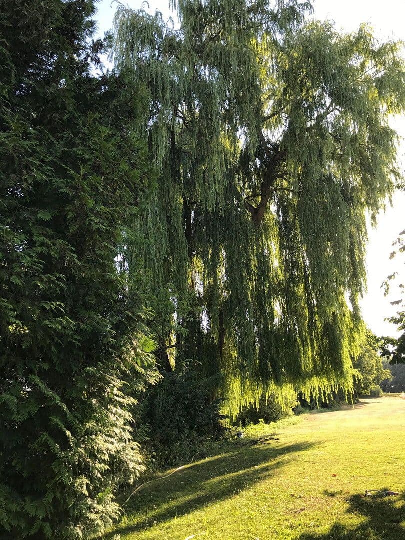 non-residential property to rent, 8,651 m², Ilmklause 1, Münchsmünster, Bavaria non-residential property to rent, 8,651 m², Ilmklause 1, Münchsmünster, Bavaria