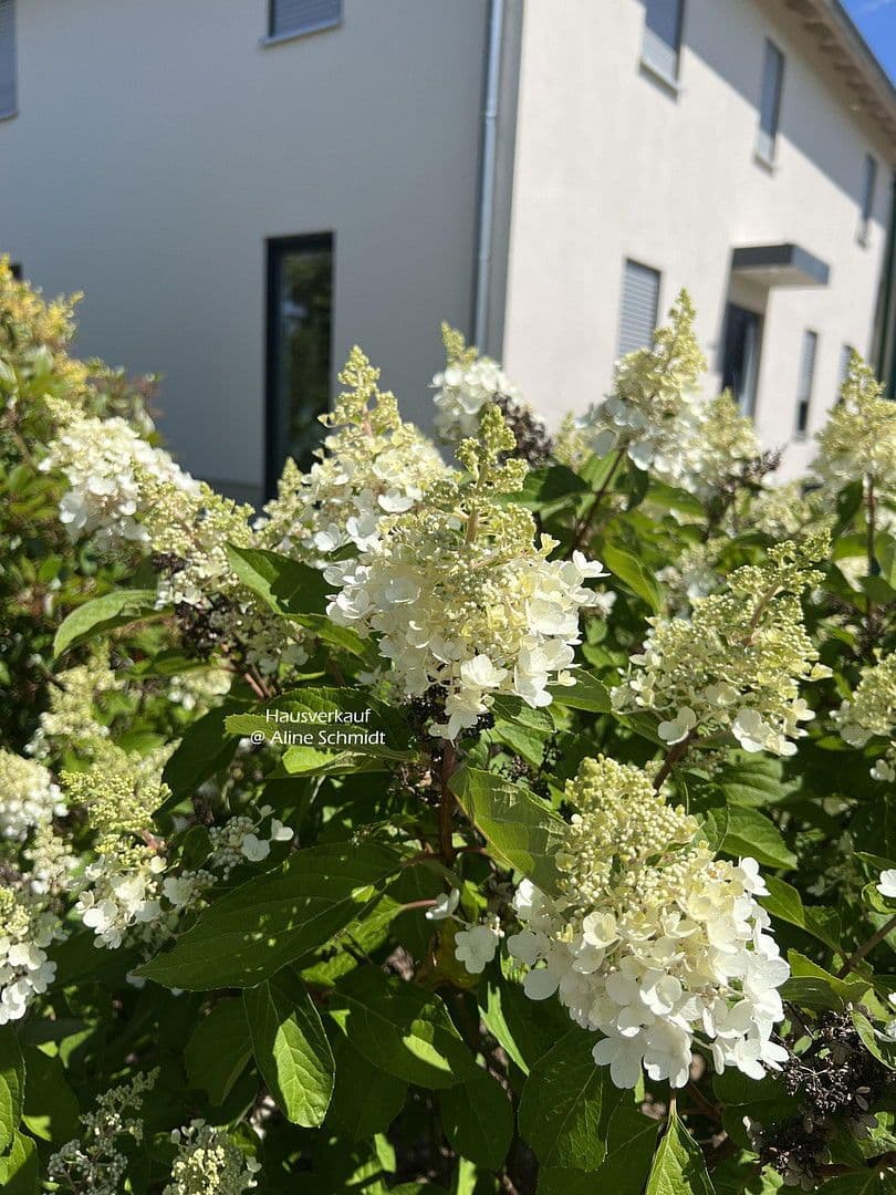 house for sale, 210 m², Radebeul, Saxony house for sale, 210 m², Radebeul, Saxony