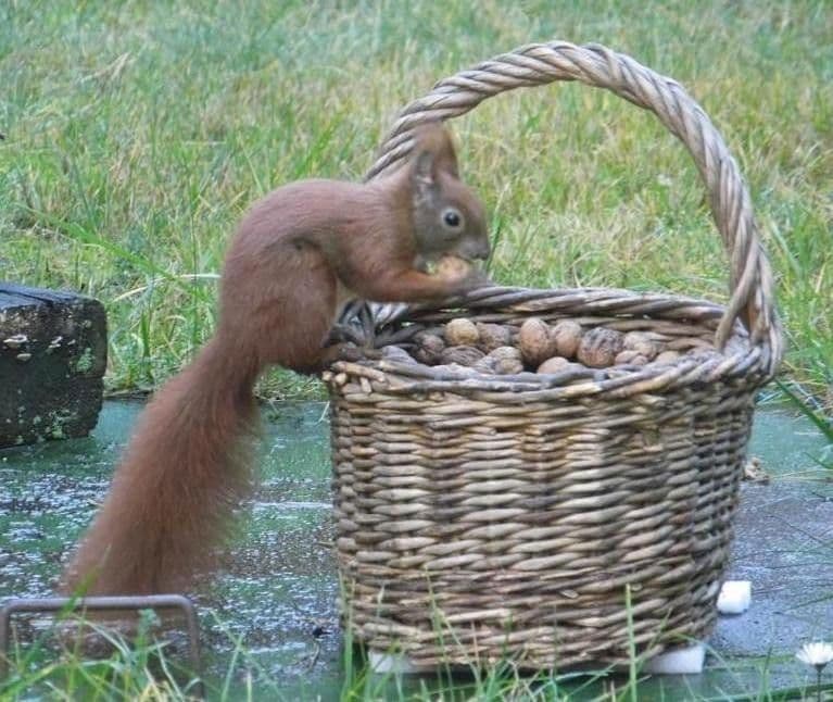 house for sale, 120 m², Riesa, Saxony house for sale, 120 m², Riesa, Saxony