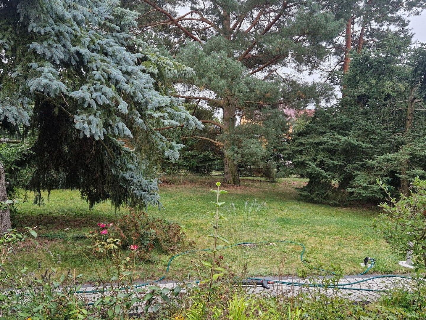 house for sale, 120 m², Riesa, Saxony house for sale, 120 m², Riesa, Saxony