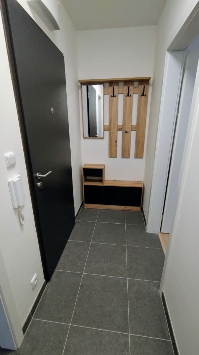 1 bedroom with open-plan kitchen flat to rent, 50 m², Stočesova, Prague, Prague 1 bedroom with open-plan kitchen flat to rent, 50 m², Stočesova, Prague, Prague