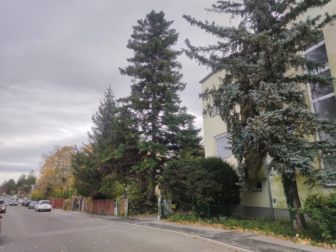 3 bedroom flat to rent, 74 m², Wien, Vienna 3 bedroom flat to rent, 74 m², Wien, Vienna