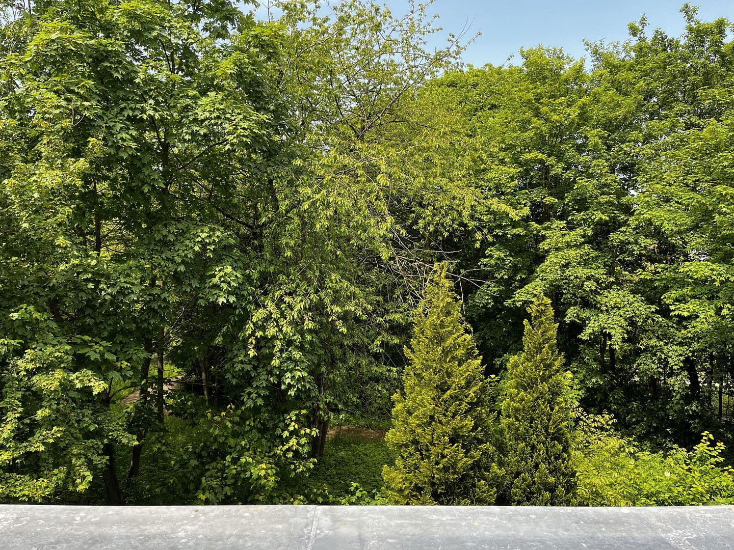 4 bedroom flat to rent, 91 m², Mönckebergallee, Hanover, Lower Saxony 4 bedroom flat to rent, 91 m², Mönckebergallee, Hanover, Lower Saxony