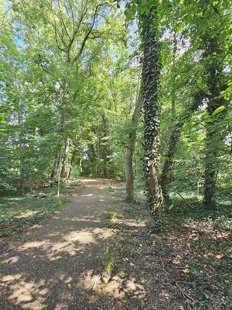 3 bedroom flat to rent, 57 m², Am Park 4, Markkleeberg, Saxony 3 bedroom flat to rent, 57 m², Am Park 4, Markkleeberg, Saxony