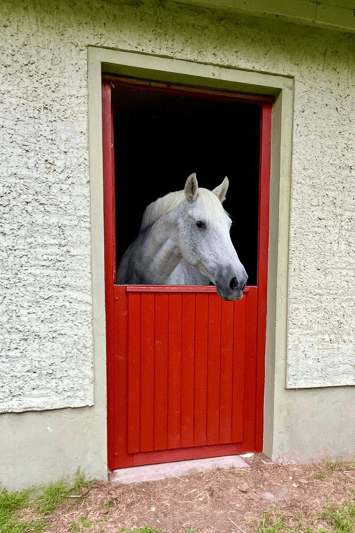 house for sale, 306 m², Witzin, Mecklenburg-Vorpommern house for sale, 306 m², Witzin, Mecklenburg-Vorpommern