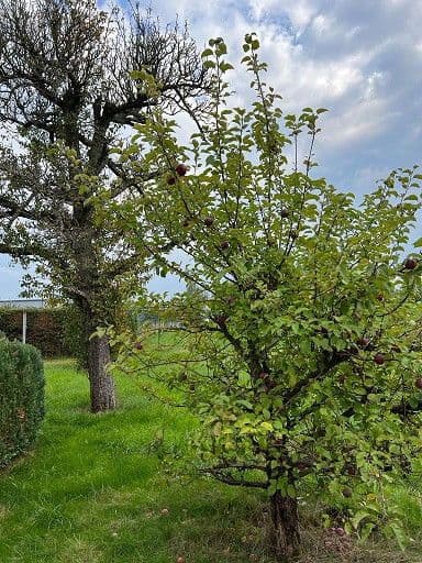 3 bedroom with open-plan kitchen flat to rent, 97 m², Zum Lindenhof 18, Limbach-Oberfrohna, Saxony 3 bedroom with open-plan kitchen flat to rent, 97 m², Zum Lindenhof 18, Limbach-Oberfrohna, Saxony