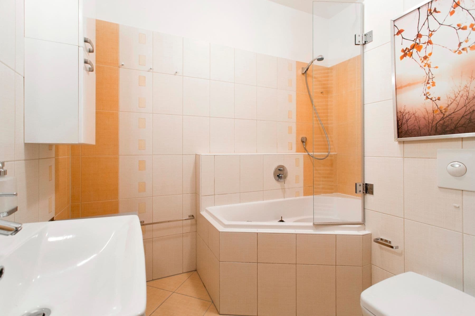 1 bedroom with open-plan kitchen flat to rent, 39 m², Raichlova, Prague, Prague 1 bedroom with open-plan kitchen flat to rent, 39 m², Raichlova, Prague, Prague