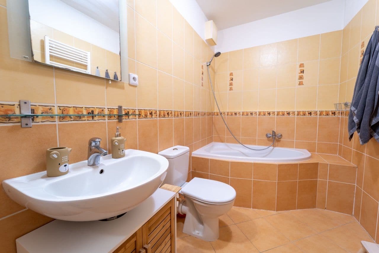 1 bedroom with open-plan kitchen flat to rent, 53 m², Zubrnická, Prague, Prague 1 bedroom with open-plan kitchen flat to rent, 53 m², Zubrnická, Prague, Prague