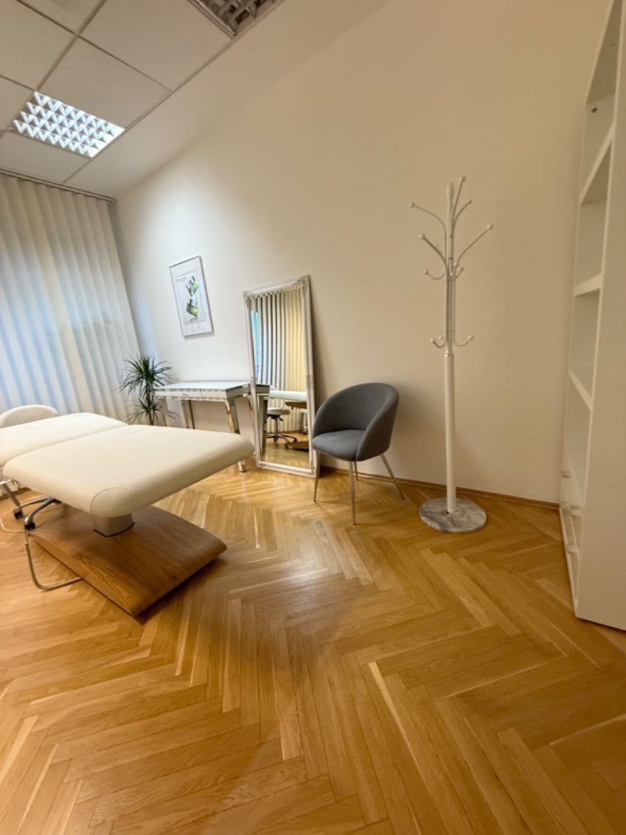 non-residential property to rent, 15 m², Na Příkopě, Prague, Prague non-residential property to rent, 15 m², Na Příkopě, Prague, Prague