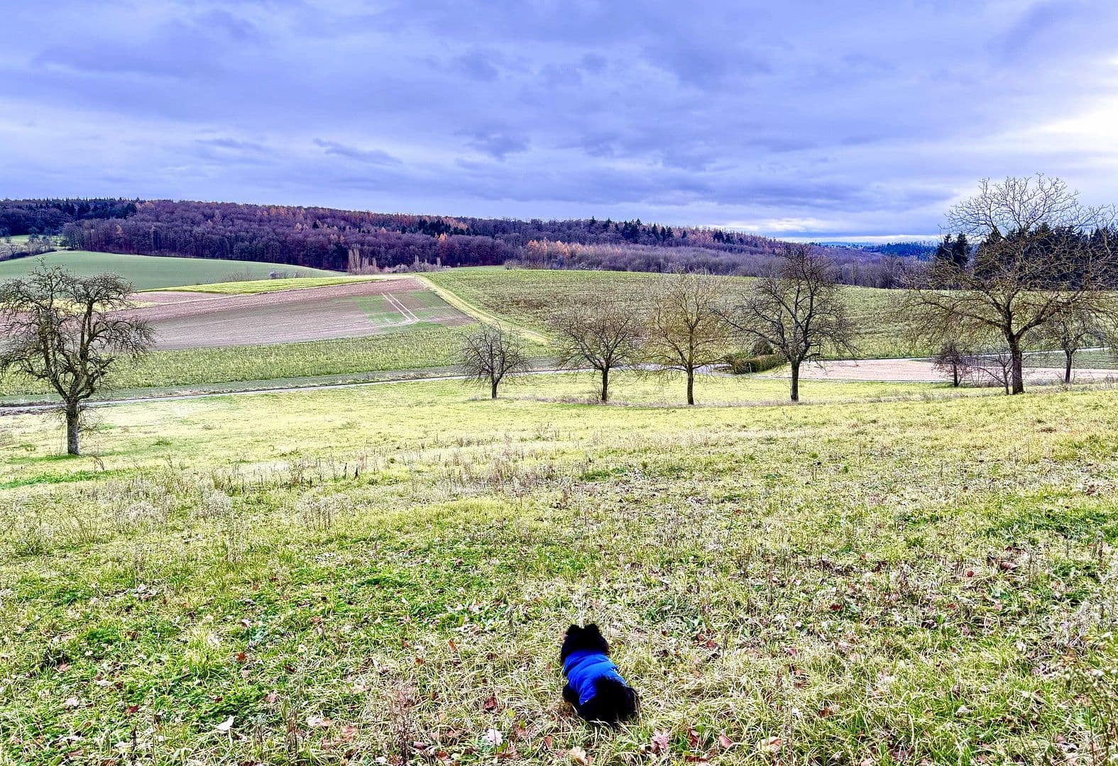 3 bedroom flat to rent, 89 m², Im Steinig 12, Kraichtal, Baden-Württemberg 3 bedroom flat to rent, 89 m², Im Steinig 12, Kraichtal, Baden-Württemberg