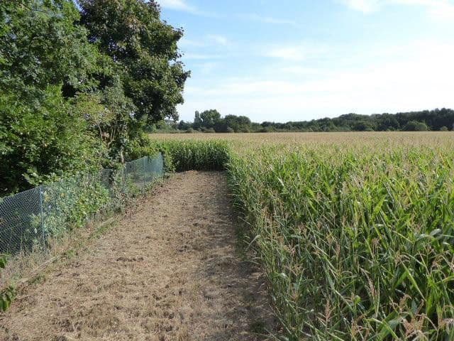 house for sale, 190 m², Düren, North Rhine-Westphalia house for sale, 190 m², Düren, North Rhine-Westphalia