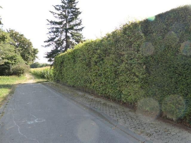 house for sale, 190 m², Düren, North Rhine-Westphalia house for sale, 190 m², Düren, North Rhine-Westphalia