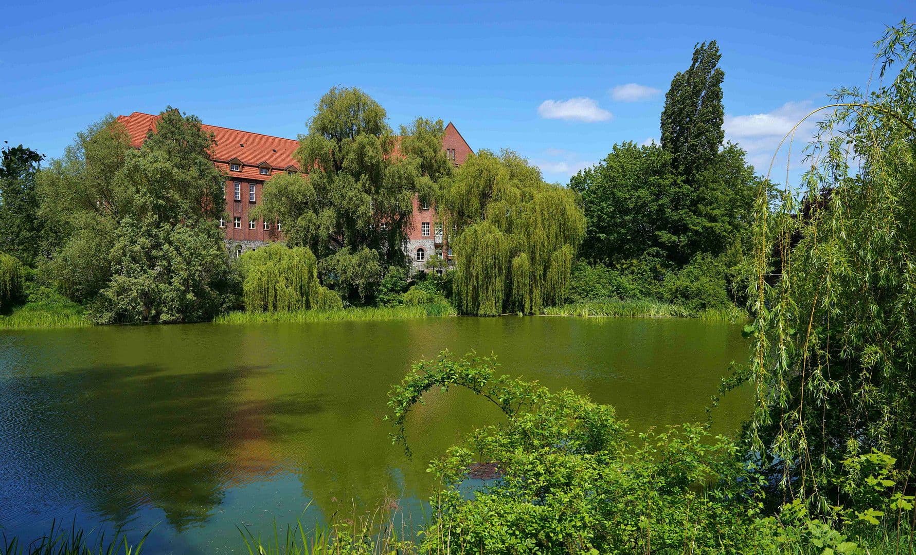 1 bedroom with open-plan kitchen flat to rent, 62 m², Parkstr. 89 D, Berlin, Berlin 1 bedroom with open-plan kitchen flat to rent, 62 m², Parkstr. 89 D, Berlin, Berlin