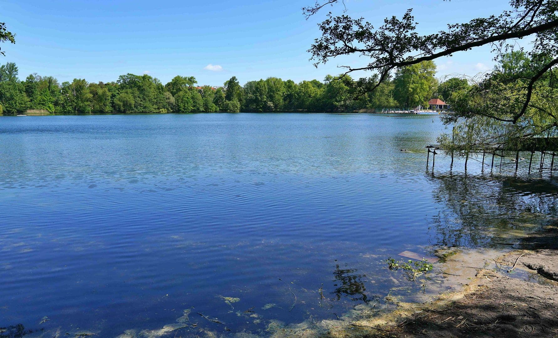 1 bedroom with open-plan kitchen flat to rent, 62 m², Parkstr. 89 D, Berlin, Berlin 1 bedroom with open-plan kitchen flat to rent, 62 m², Parkstr. 89 D, Berlin, Berlin