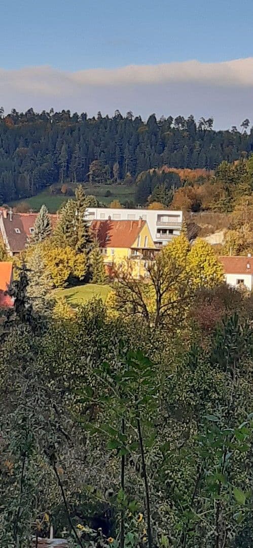 2 bedroom with open-plan kitchen flat for sale, 120 m², Haiterbach, Baden-Württemberg 2 bedroom with open-plan kitchen flat for sale, 120 m², Haiterbach, Baden-Württemberg