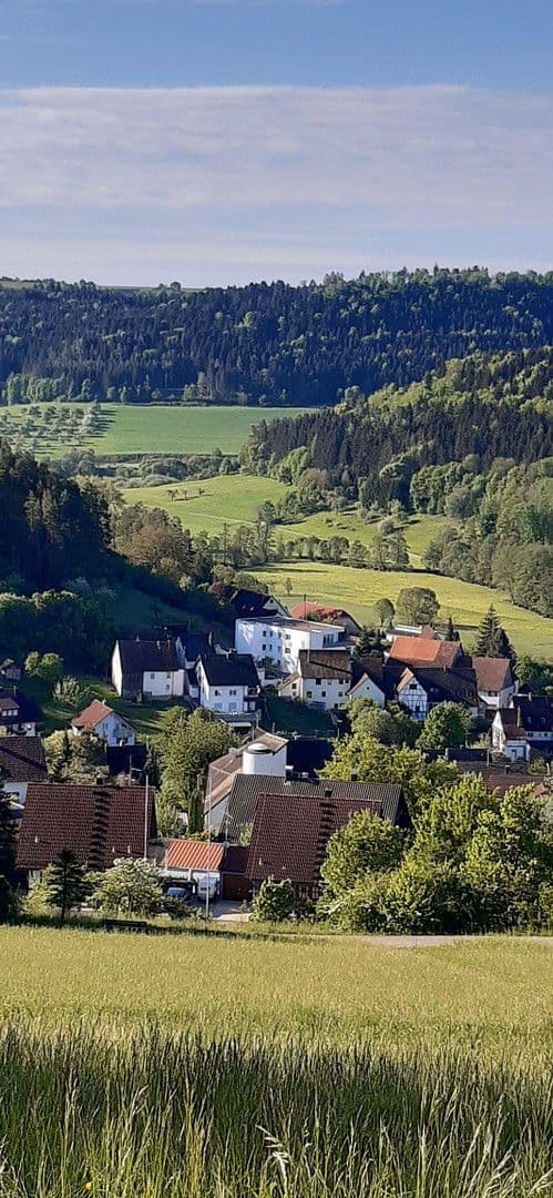 2 bedroom with open-plan kitchen flat for sale, 120 m², Haiterbach, Baden-Württemberg 2 bedroom with open-plan kitchen flat for sale, 120 m², Haiterbach, Baden-Württemberg