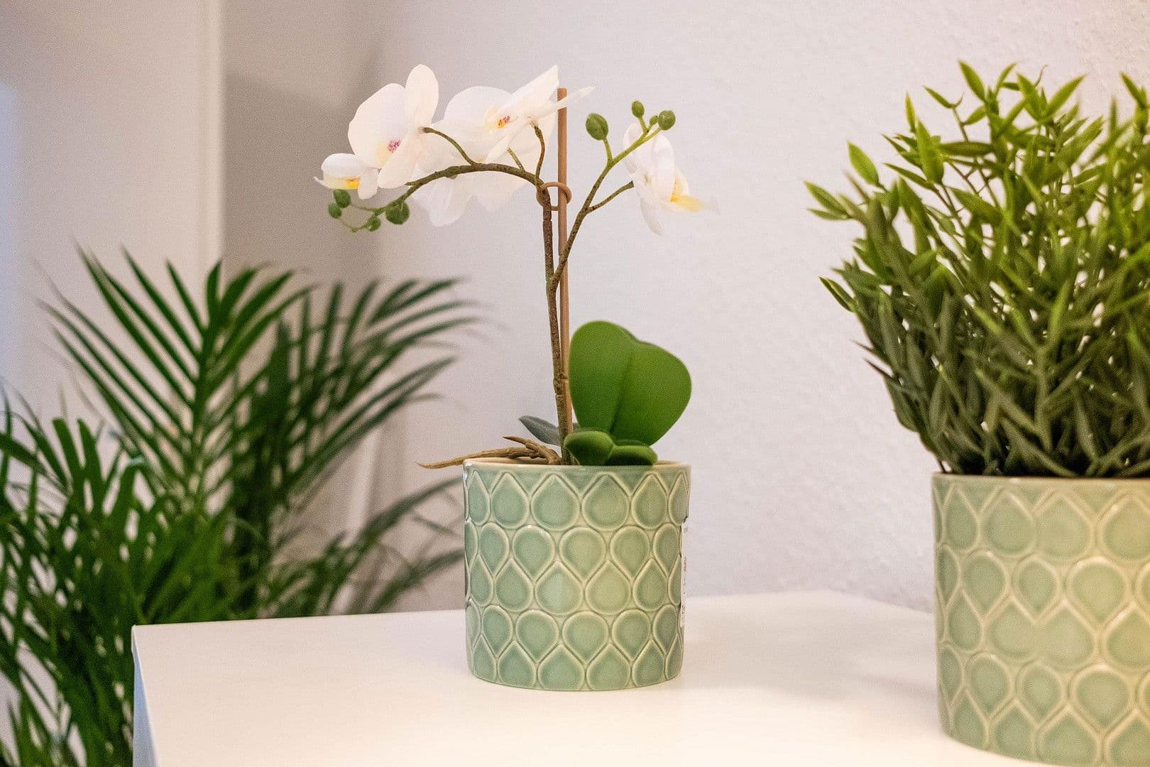 2 bedroom flat to rent, 46 m², Essen, North Rhine-Westphalia 2 bedroom flat to rent, 46 m², Essen, North Rhine-Westphalia