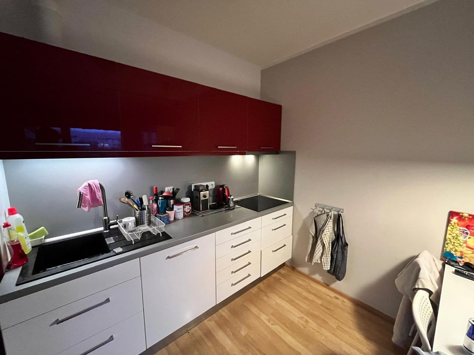 1 bedroom with open-plan kitchen flat to rent, 53 m², Pod Harfou, Prague, Prague 1 bedroom with open-plan kitchen flat to rent, 53 m², Pod Harfou, Prague, Prague