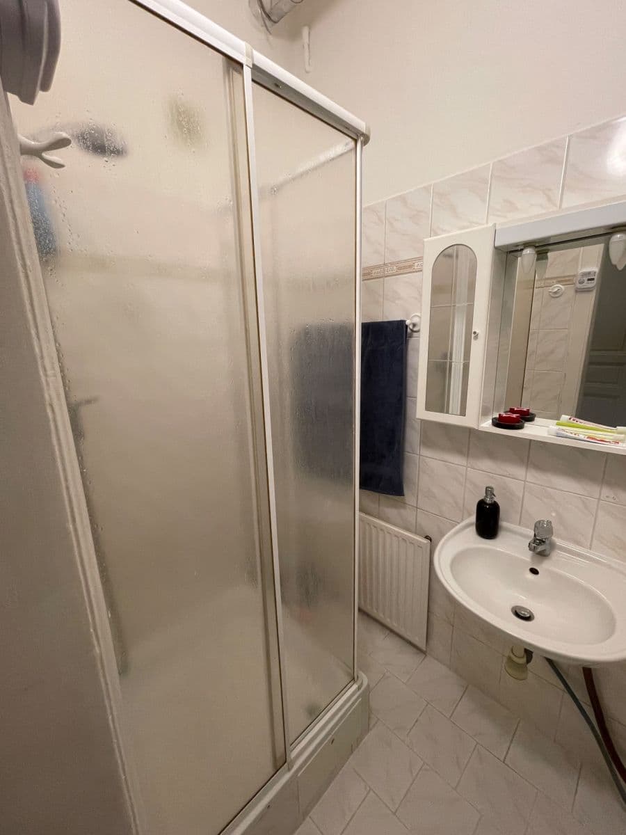 1 bedroom with open-plan kitchen flat to rent, 49 m², Trojanova, Prague, Prague 1 bedroom with open-plan kitchen flat to rent, 49 m², Trojanova, Prague, Prague