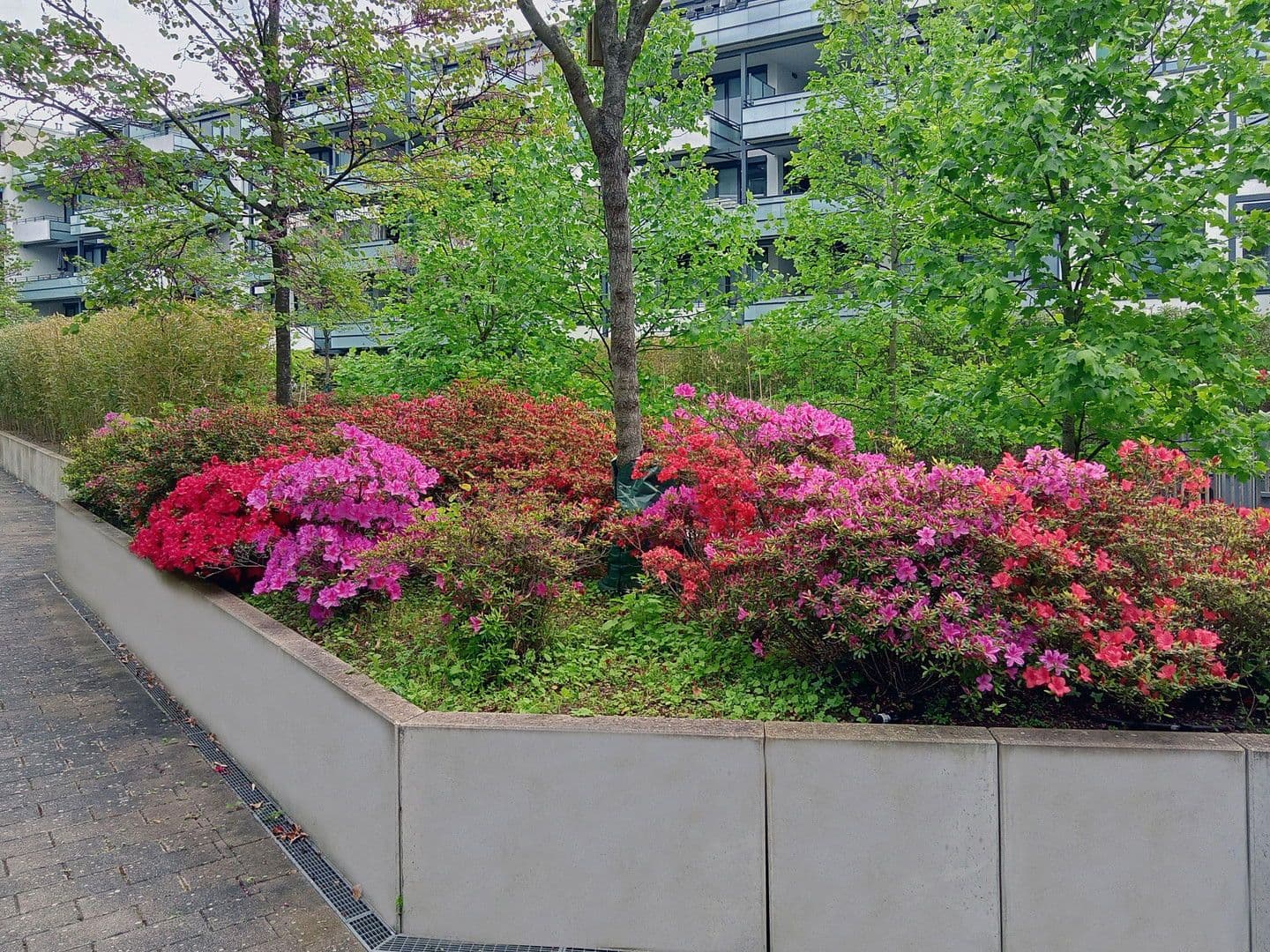 3 bedroom flat for sale, 92 m², Кarlsruhe, Baden-Württemberg 3 bedroom flat for sale, 92 m², Кarlsruhe, Baden-Württemberg