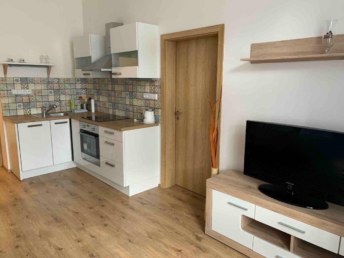 1 bedroom with open-plan kitchen flat to rent, 48 m², Sudoměřská, Prague, Prague 1 bedroom with open-plan kitchen flat to rent, 48 m², Sudoměřská, Prague, Prague