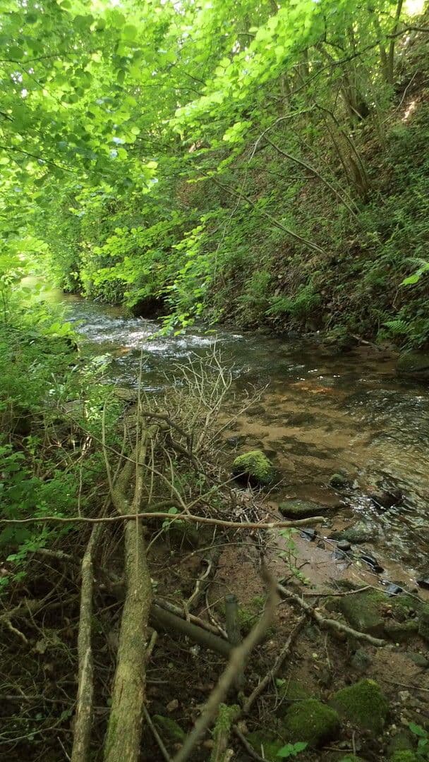 3 bedroom flat to rent, 119 m², Schwimmbadstraße 7, Bad Herrenalb, Baden-Württemberg 3 bedroom flat to rent, 119 m², Schwimmbadstraße 7, Bad Herrenalb, Baden-Württemberg