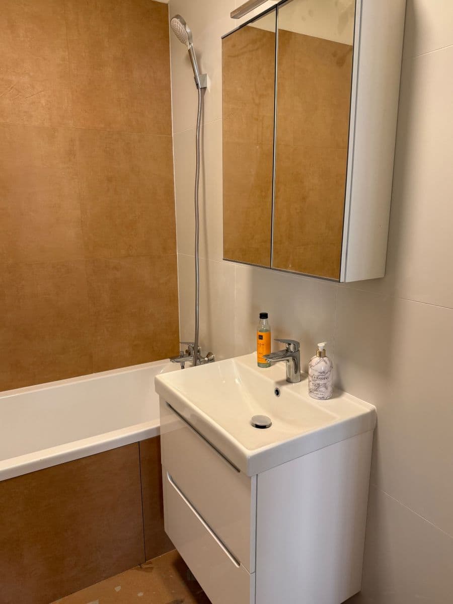 2 bedroom with open-plan kitchen flat to rent, 77 m², Ke Dvoru, Prague, Prague 2 bedroom with open-plan kitchen flat to rent, 77 m², Ke Dvoru, Prague, Prague