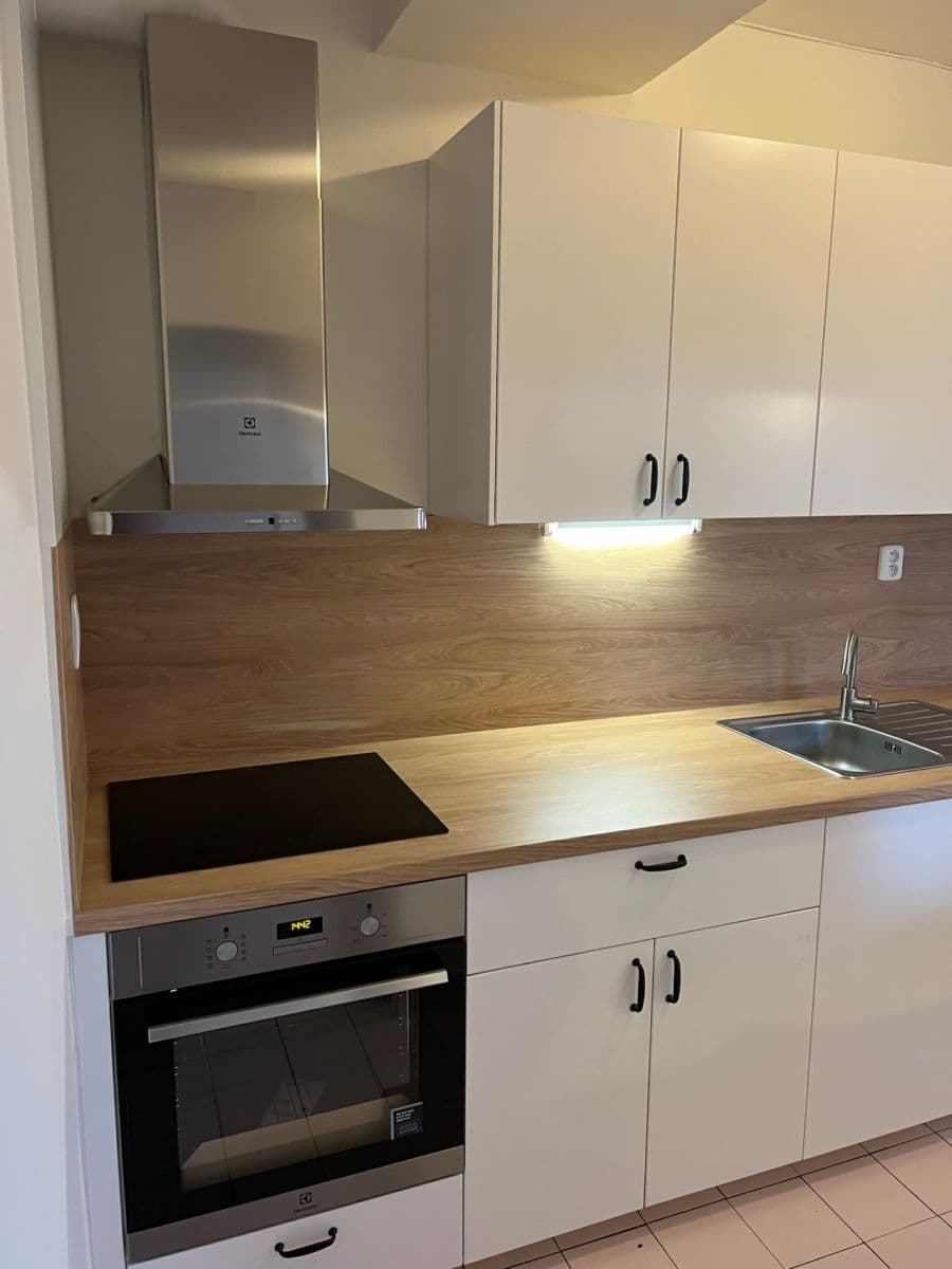 2 bedroom with open-plan kitchen flat to rent, 77 m², Ke Dvoru, Prague, Prague 2 bedroom with open-plan kitchen flat to rent, 77 m², Ke Dvoru, Prague, Prague