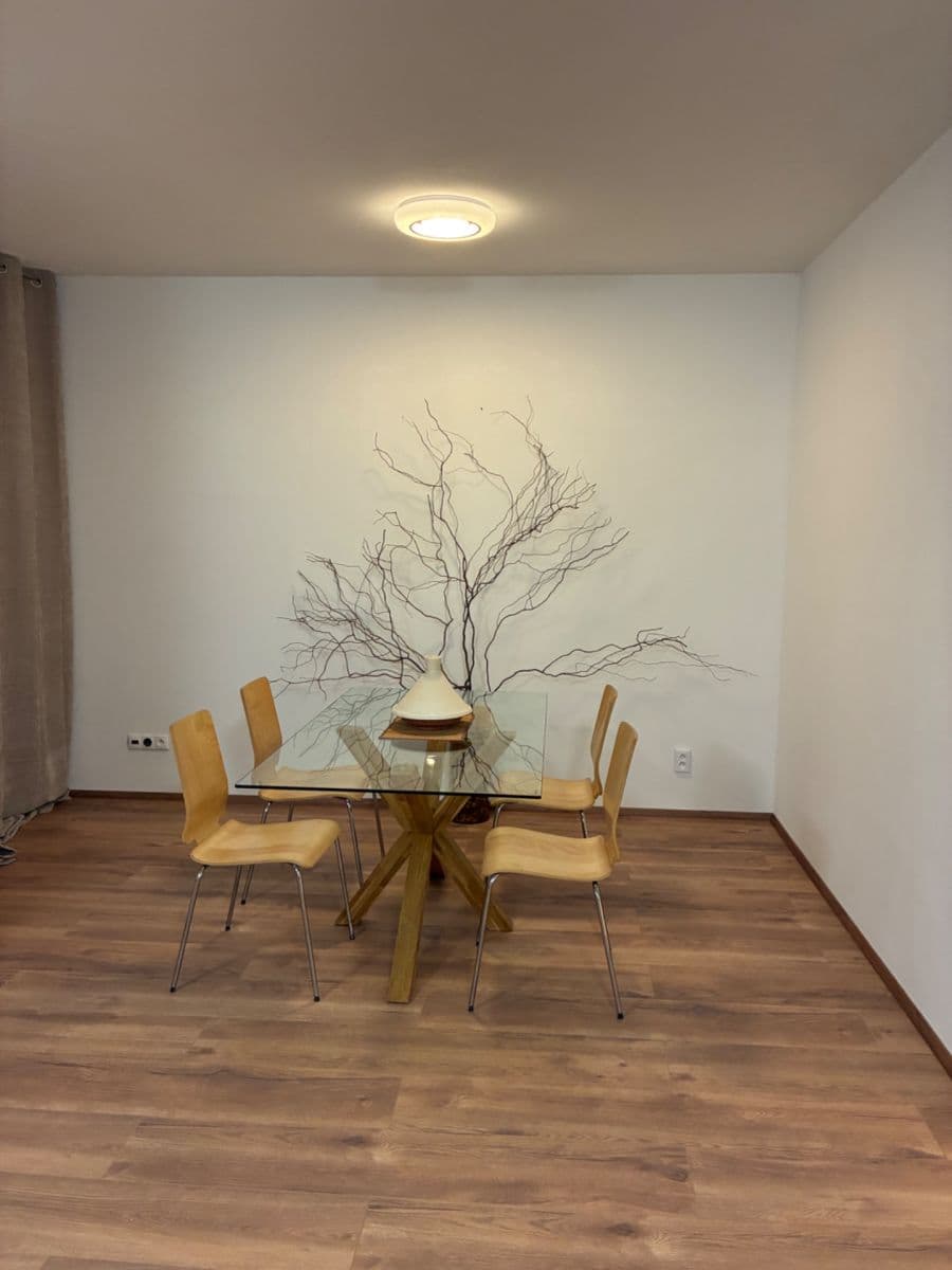1 bedroom with open-plan kitchen flat to rent, 92 m², Pod Dvorem, Prague, Prague 1 bedroom with open-plan kitchen flat to rent, 92 m², Pod Dvorem, Prague, Prague