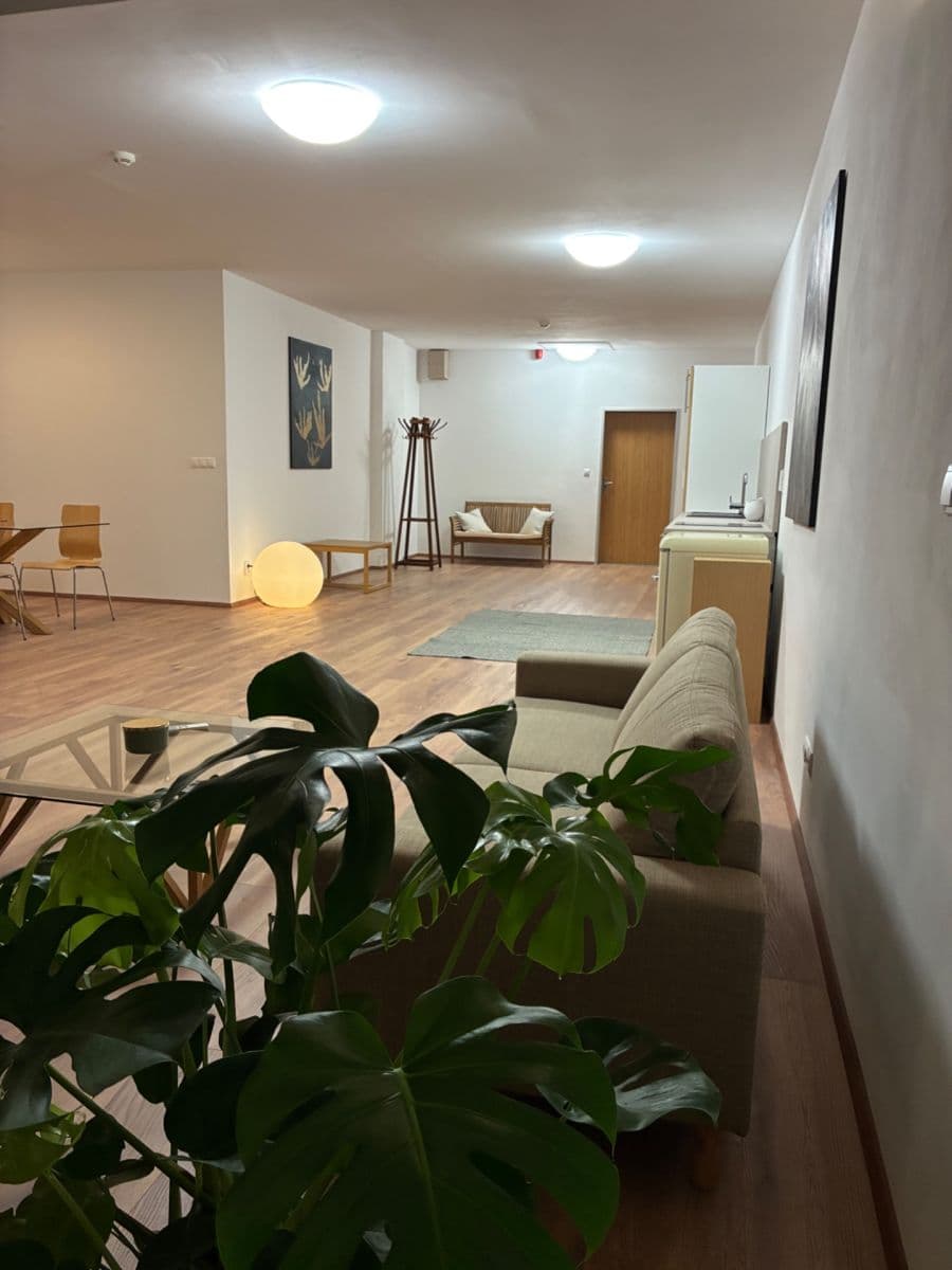 1 bedroom with open-plan kitchen flat to rent, 92 m², Pod Dvorem, Prague, Prague 1 bedroom with open-plan kitchen flat to rent, 92 m², Pod Dvorem, Prague, Prague
