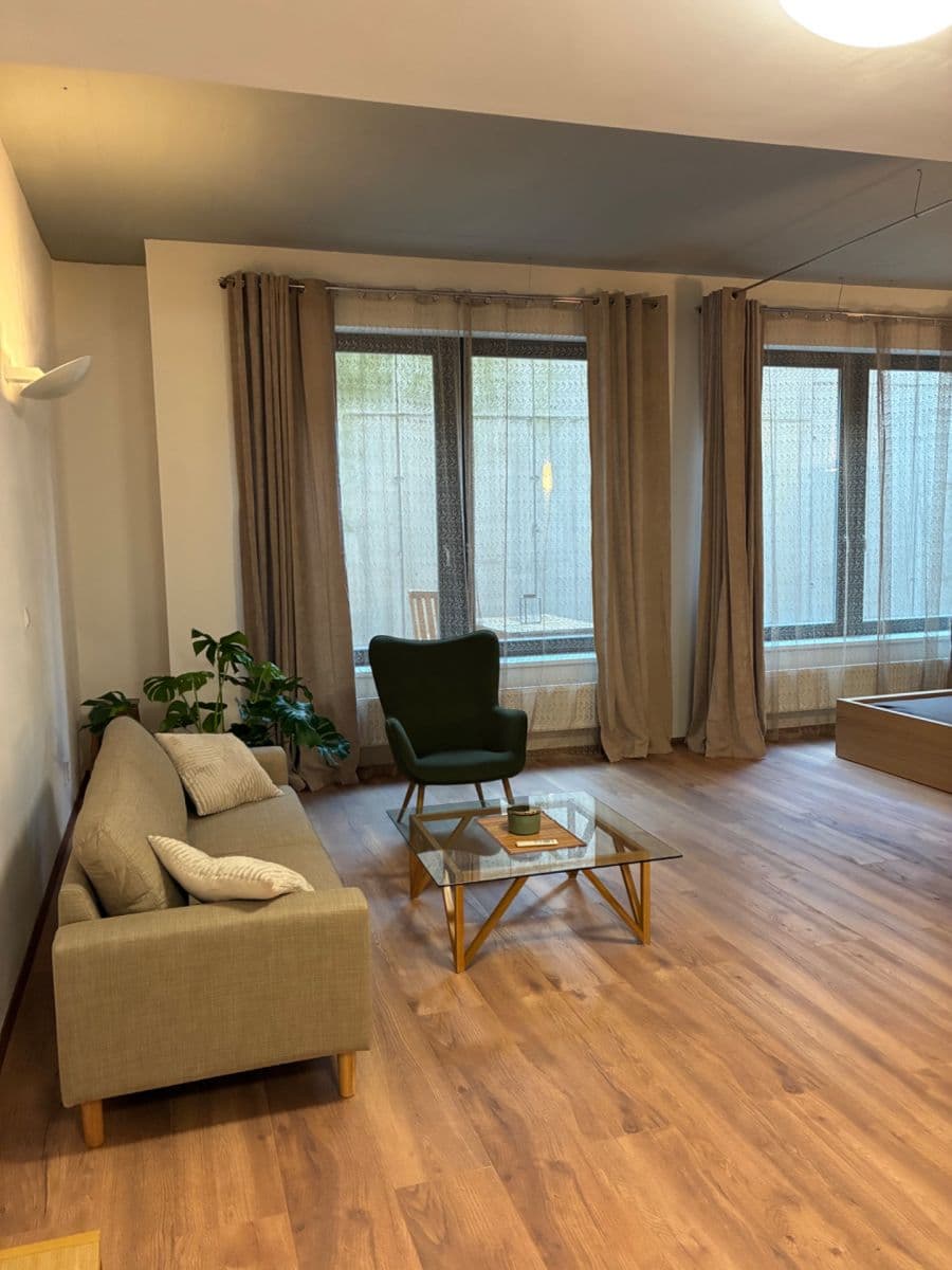 1 bedroom with open-plan kitchen flat to rent, 92 m², Pod Dvorem, Prague, Prague 1 bedroom with open-plan kitchen flat to rent, 92 m², Pod Dvorem, Prague, Prague