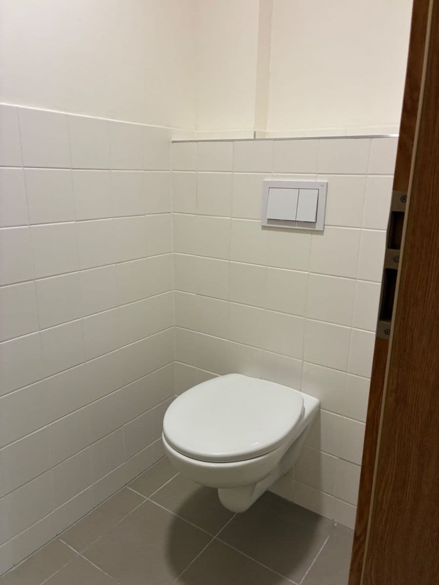 1 bedroom with open-plan kitchen flat to rent, 92 m², Pod Dvorem, Prague, Prague 1 bedroom with open-plan kitchen flat to rent, 92 m², Pod Dvorem, Prague, Prague