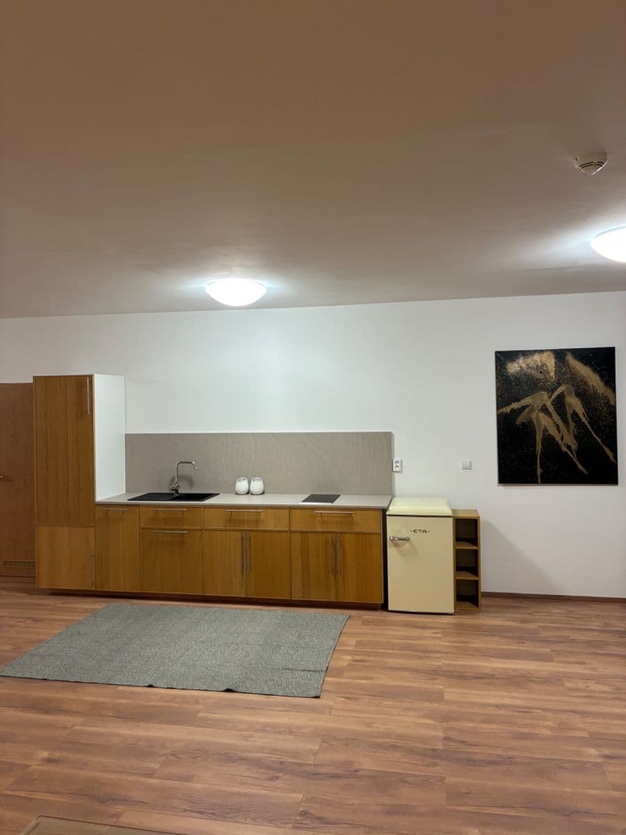 1 bedroom with open-plan kitchen flat to rent, 92 m², Pod Dvorem, Prague, Prague 1 bedroom with open-plan kitchen flat to rent, 92 m², Pod Dvorem, Prague, Prague
